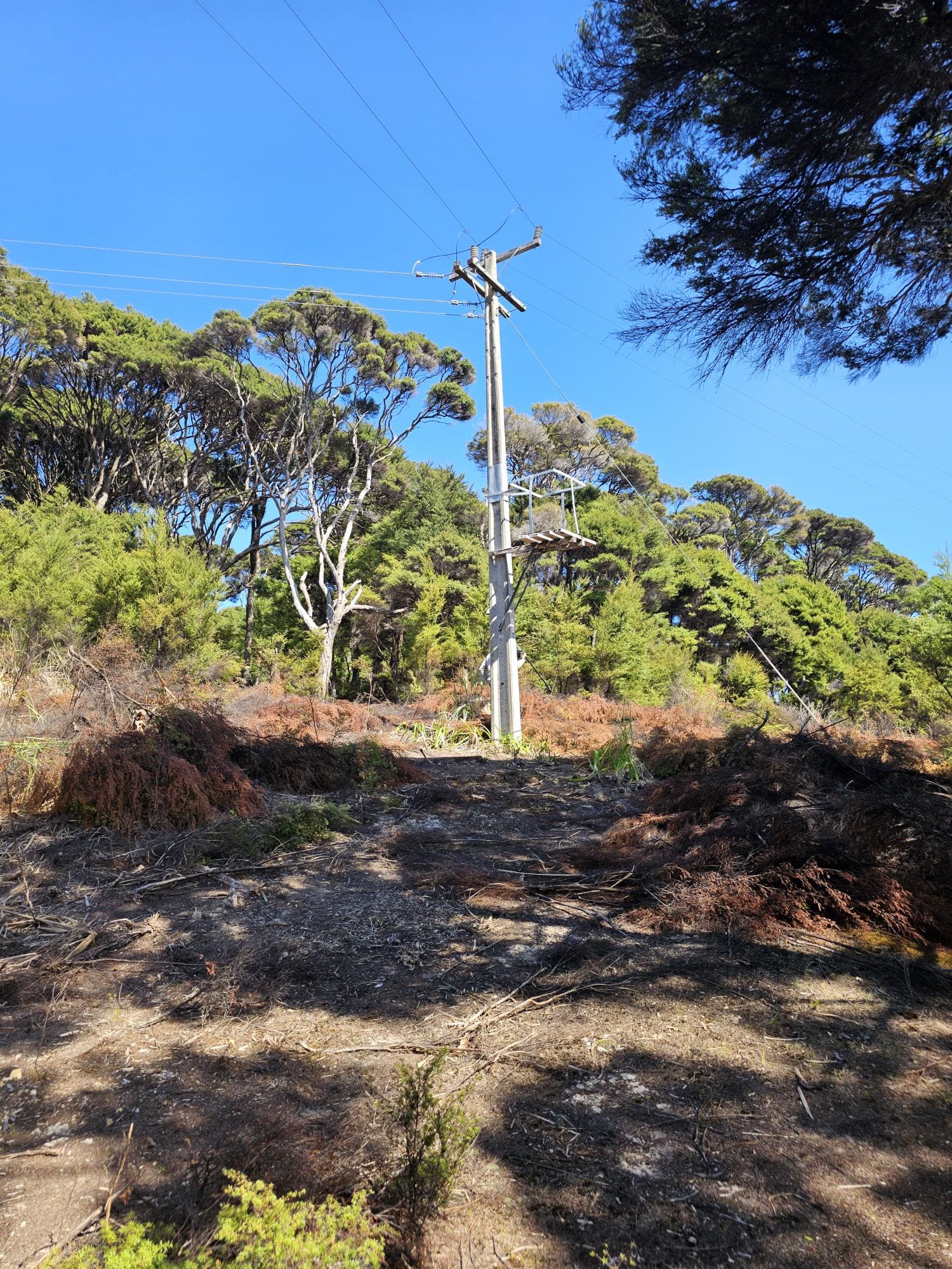 Kawau Island