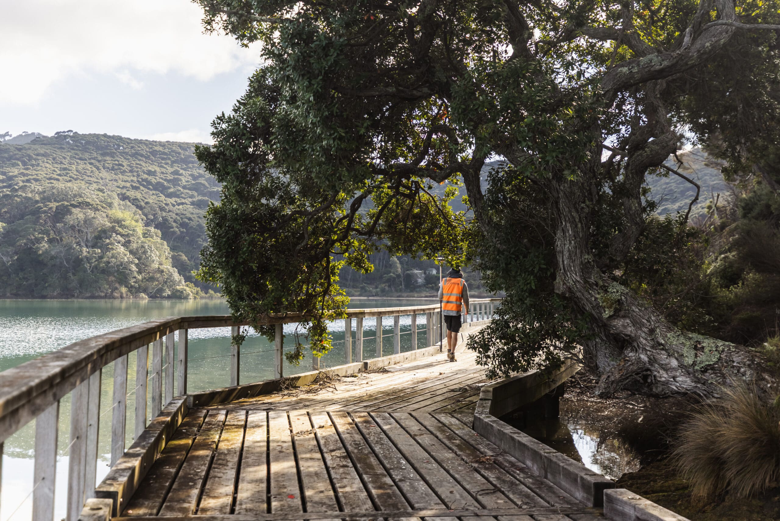 Kawau Island